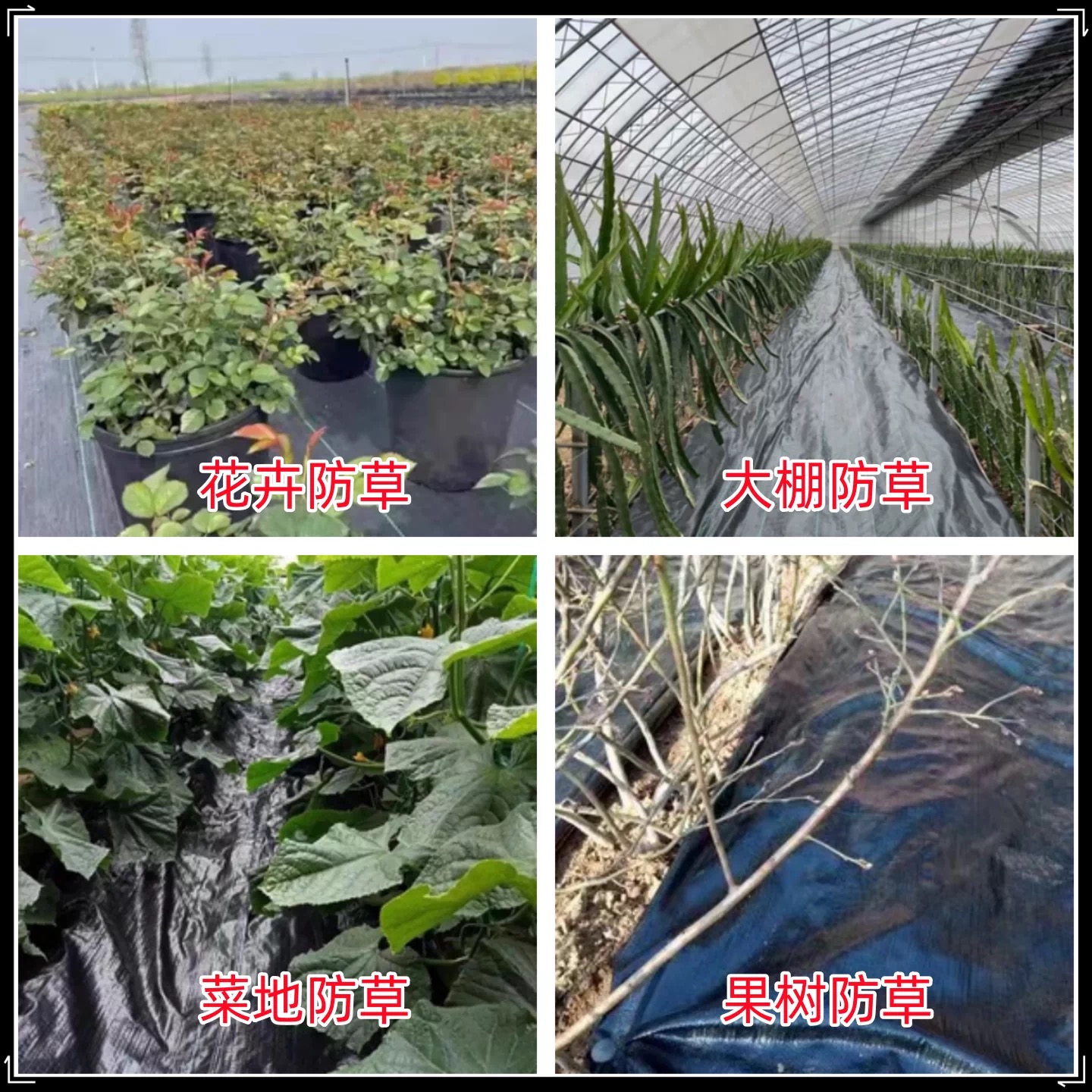 菏泽市po膜防草布 - 价格
