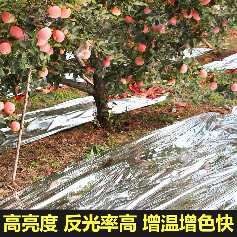 菏泽市黑白养殖膜果树反光膜 - 一站式服务